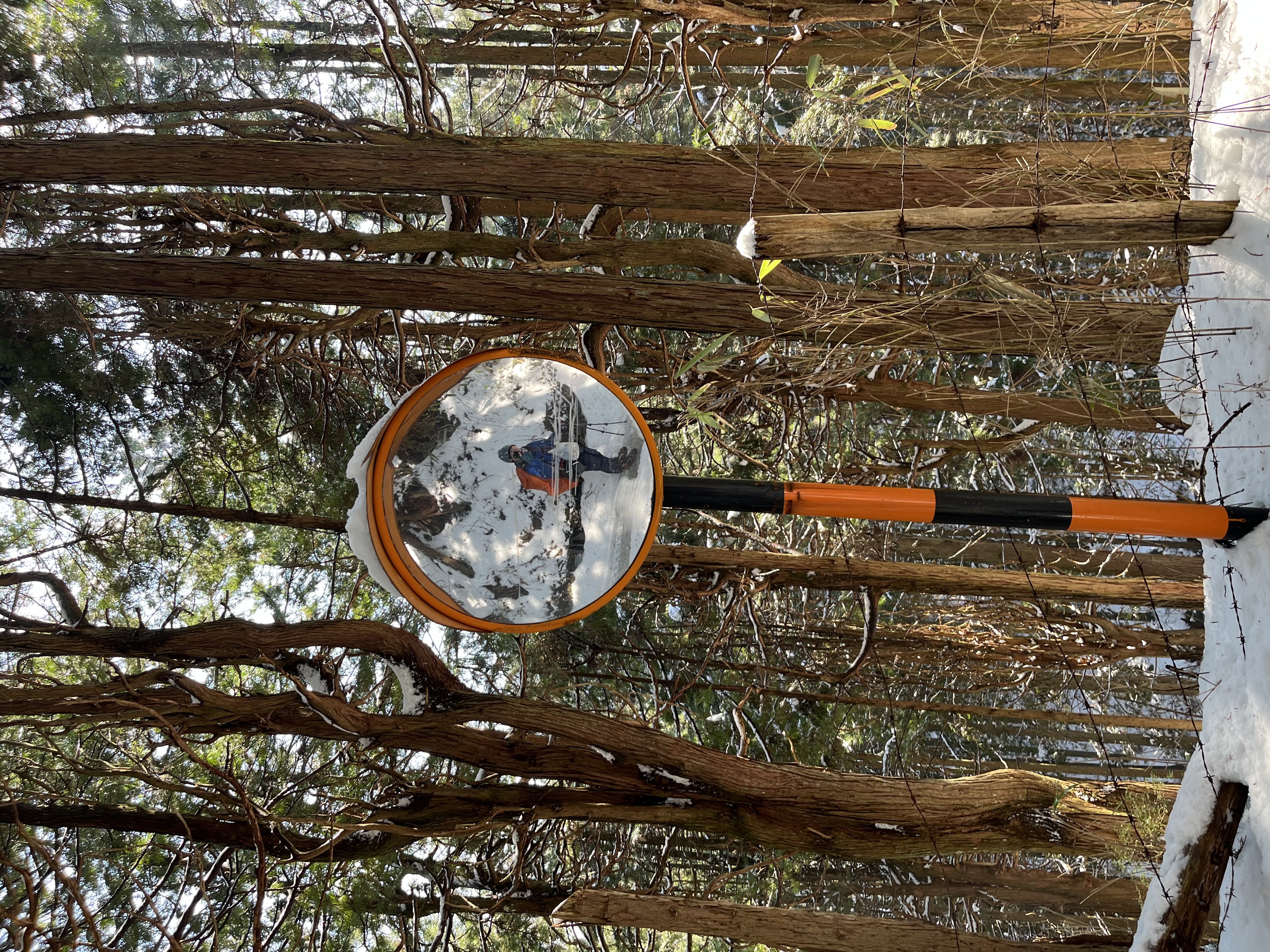 雪地反光鏡自拍